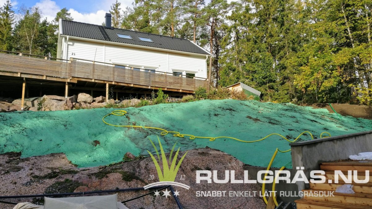 Masterline Villa Premium Pro Sweden – Smart Rullgräs på duk, Gräsmatta 40 m2 - Bild 7