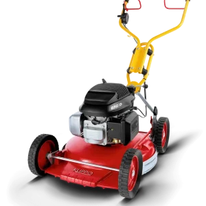 Pro