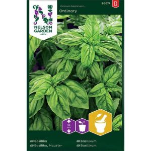 Premium Frö – Basilika ’Vanlig’