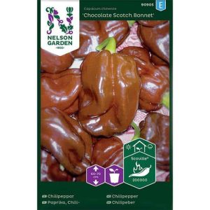 Premium Frö – Chili, Havannapeppar ’Chocolate Scotch Bonnet’