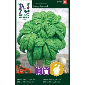 Premium Frö – Basilika, Sallads- ’Storbladig’