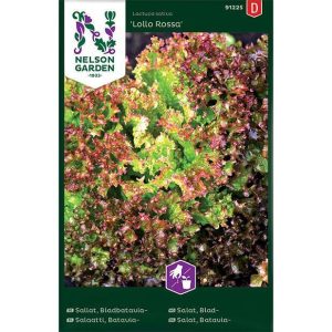 Premium Frö – Sallat, Bladbatavia- ’Lollo Rossa’